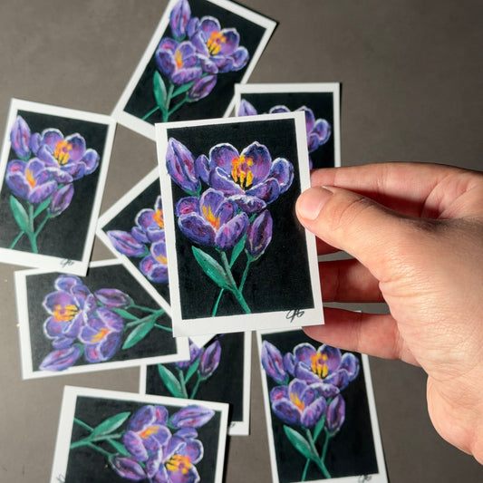 Krokus Sticker
