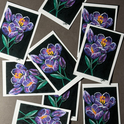 Krokus Sticker