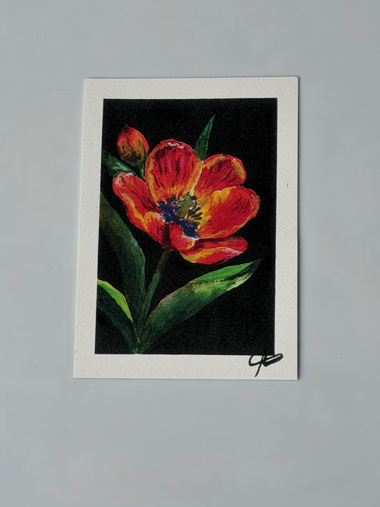 Original Art Card – Tulpe